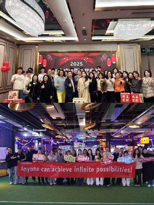 lionfly company